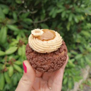 Choux Chocolat/Noisettes