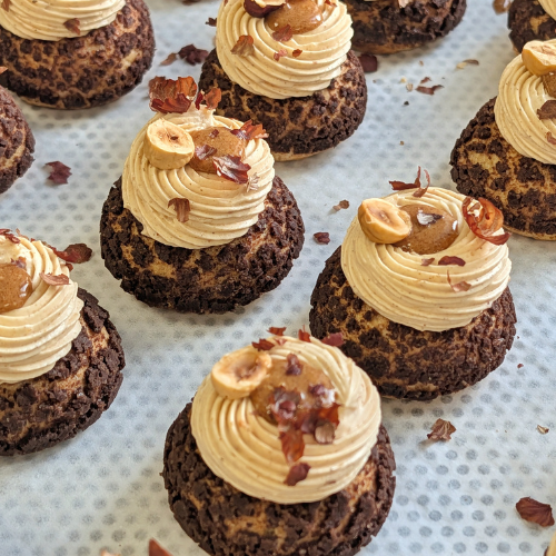 Mini choux Chocolat/Noisettes